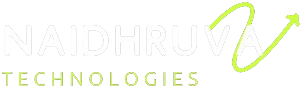 Naidhruva Technologies logo